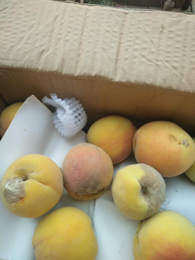 拼多多的货不鲜,我买的黄桃全是烂的