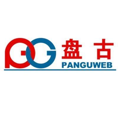 盘古网络技术有限公司网站Logo