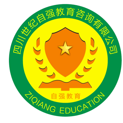 桔子seo查询网=桔子网络科技有限公司 做什么的
